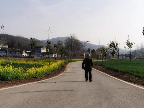 中原云裳牧場(chǎng) 魯山縣生態(tài)旅游新地標(biāo)，點(diǎn)亮東部文旅新版圖