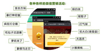 云亞爆炸式微信營(yíng)銷軟件 型號(hào)、功能與購(gòu)買指南